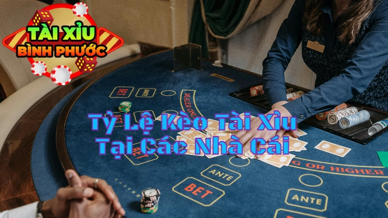 Tỷ Lệ Kèo Tài Xỉu Tại Các Nhà Cái Tốt Nhất Ở Bình Phước