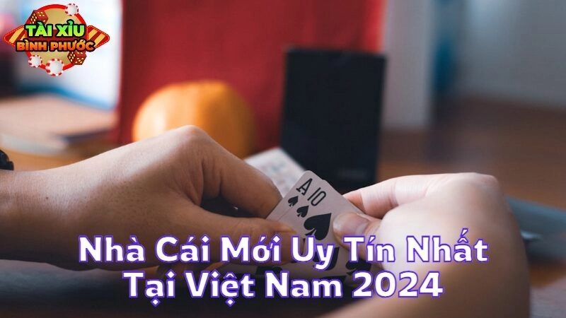 Nhà Cái Mới Uy Tín Nhất Tại Việt Nam 2024