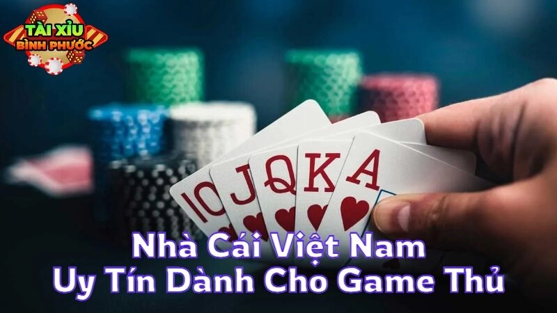 Nhà Cái Việt Nam Uy Tín Dành Cho Game Thủ