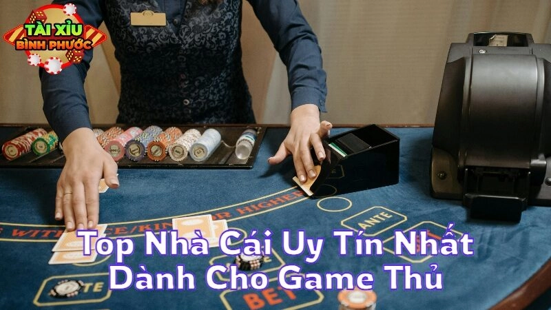 Top Nhà Cái Uy Tín Nhất Dành Cho Game Thủ